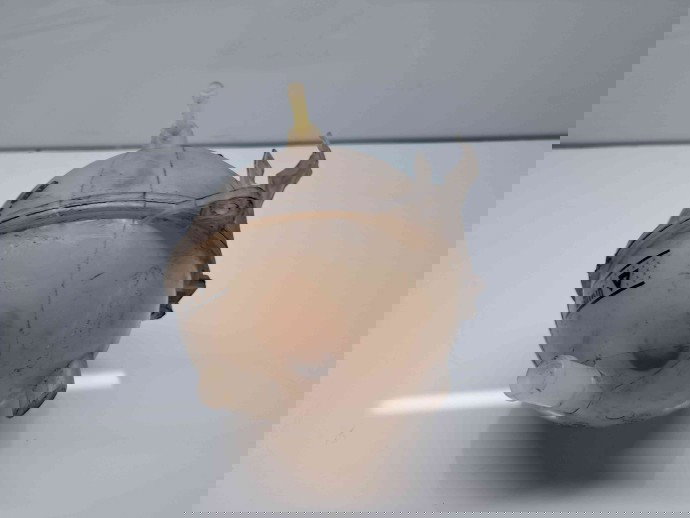 Vas expansiune Audi TT (8J3) [Fabr 2006-2013] 1K0121407A