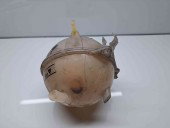 Vas expansiune Audi TT (8J3) [Fabr 2006-2013] 1K0121407A