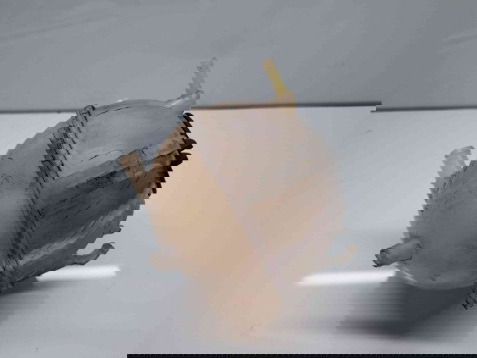 Vas expansiune Audi TT (8J3) [Fabr 2006-2013] 1K0121407A