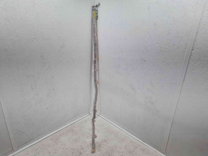  Airbag cortina stanga Audi A4 Avant (8ED, B7) [Fabr 2004-2008] 8E9880741B