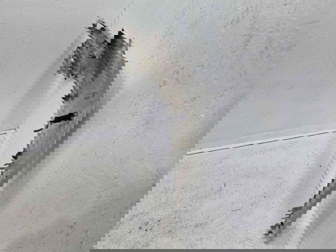 Aripa dreapta fata Skoda Fabia 2 (5J, 542) [Fabr 2007-2014] LF9E