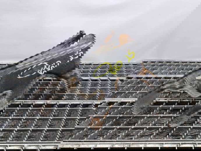 Suport compresor clima Mercedes Clasa E (W211) [Fabr 2002-2009] A2113201843 3.0 CDI 642920  