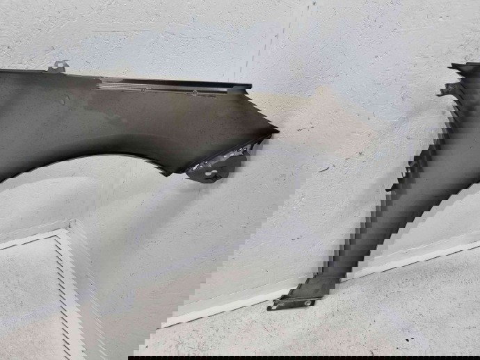 Aripa stanga fata Ford Fiesta 8 [Fabr 2017-2025] MAGNETIC