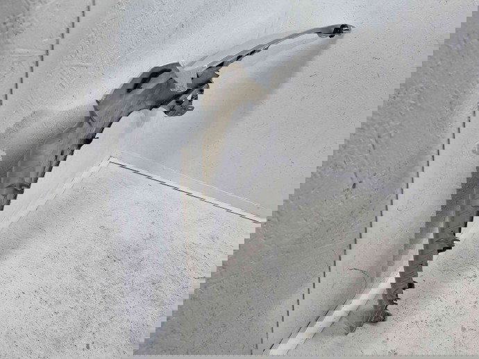 Aripa stanga fata Skoda Octavia 2 Combi (1Z5) [Fabr 2004-2013] Facelift LA7W