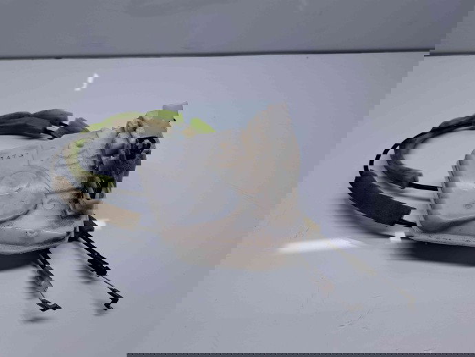 Broasca usa stanga spate MAZDA 3 II Hatchback Facelift [Fabr 2011-2013] OEM