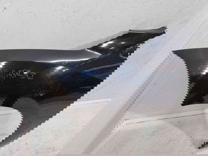 Aripa stanga fata Renault Megane 3 [Fabr 2008-2015] Facelift GNE