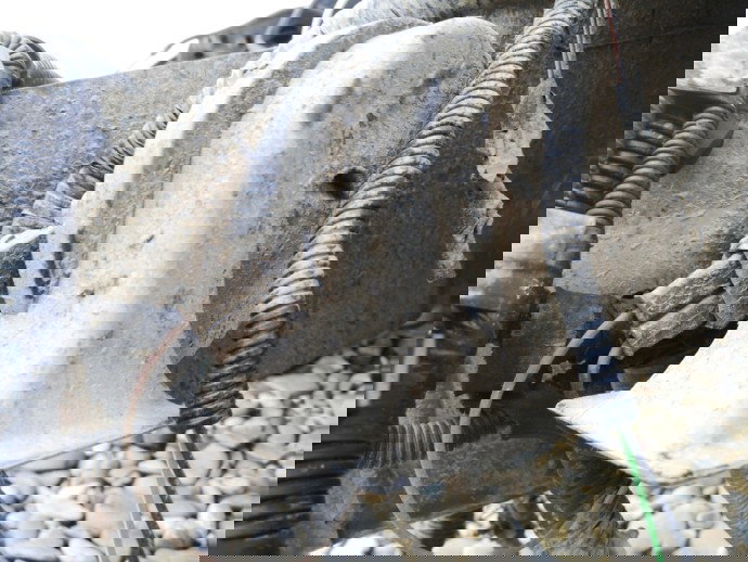 Claxon Ford Focus 1 Coupe 1.8 Diesel OEM 1999-2005