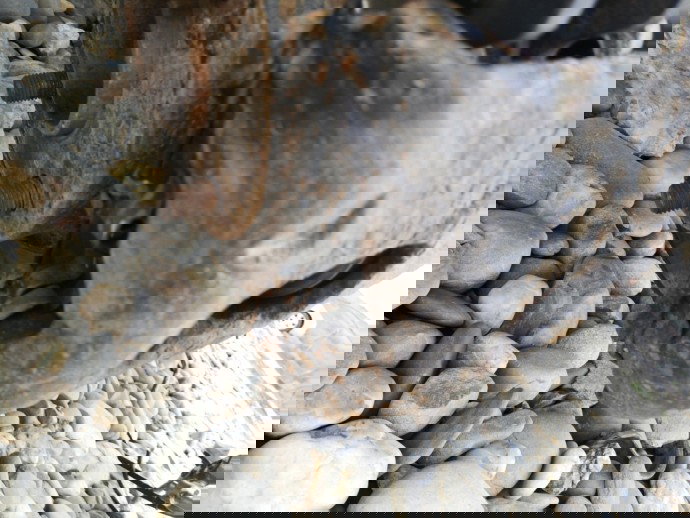 Etrier dreapta fata Ford Focus 1 Coupe 1.8 Diesel OEM 1999-2005