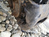 Etrier dreapta fata Ford Focus 1 Coupe 1.8 Diesel OEM 1999-2005