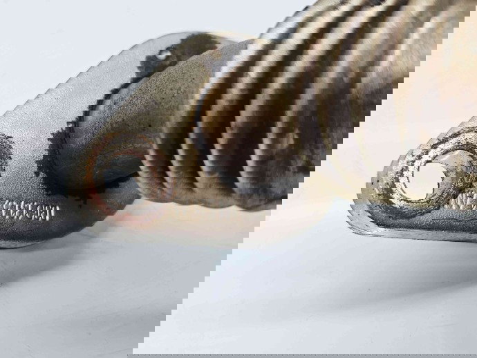 Conducta gaze Volkswagen Passat B6 (3C2) [Fabr 2005-2010] 03G131521AM 2.0 TDI CBAB 103KW / 140CP