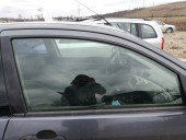 Geam usa dreapta fata Ford Focus 1 Coupe 1.8 Diesel OEM 1999-2005