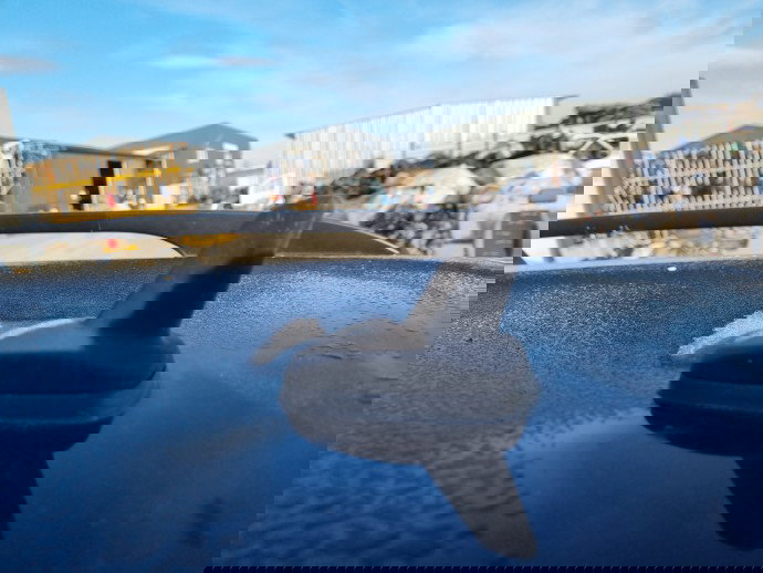  Antena Volkswagen Passat B6 Variant (3C5) [Fabr 2005-2010] OEM