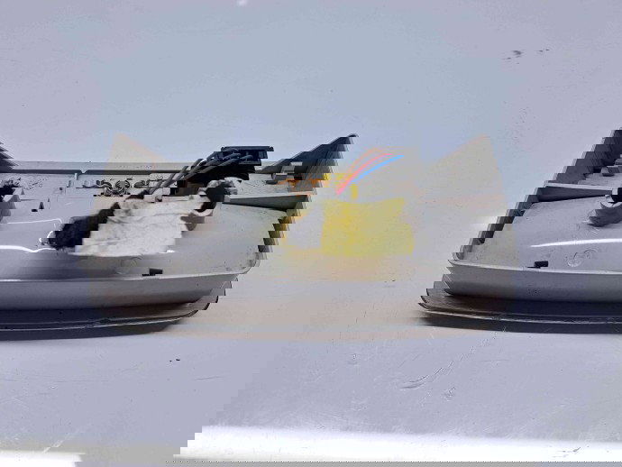  Plafoniera spate Skoda Octavia 2 (1Z3) [Fabr 2004-2013] OEM