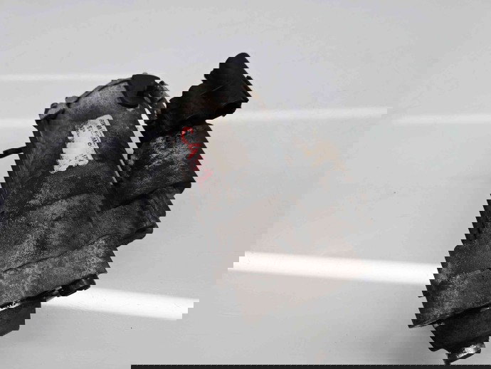  Electromotor 11 dinti Ford Kuga I [Fabr 2008-2012] OEM 2.0 TDCI G6DG100KW / 136CP