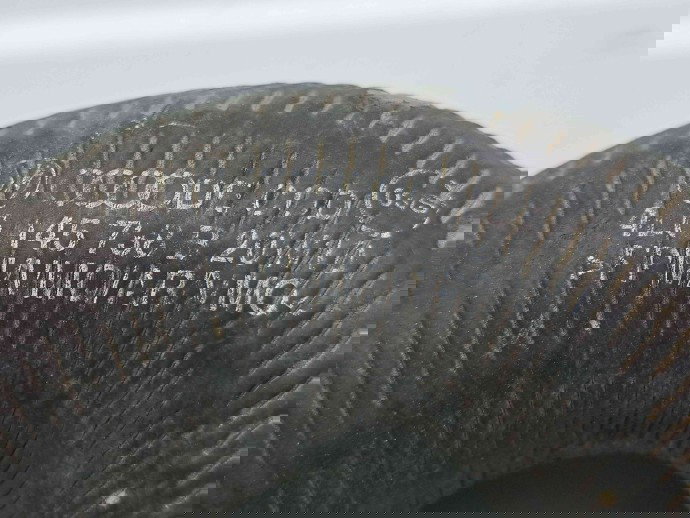 Furtun intercooler Audi Q7 (4LB) [Fabr 2006-2014] Facelift 4L0145738B 3.0 TDI CJGA 176KW / 240CP