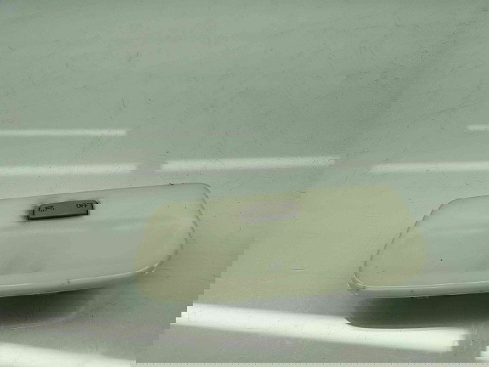  Plafoniera spate Renault Megane 3 [Fabr 2008-2015] Facelift OEM