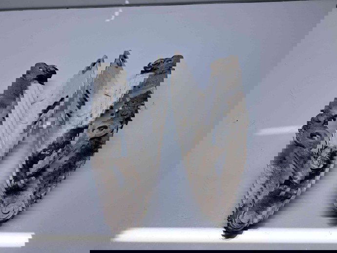 Set balamale capota Audi TT (8J3) [Fabr 2006-2013] 8J0823302H / 8J0823301H