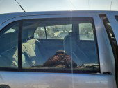 Geam usa dreapta spate Skoda Fabia 1 (6Y2) [Fabr 1999-2008] OEM