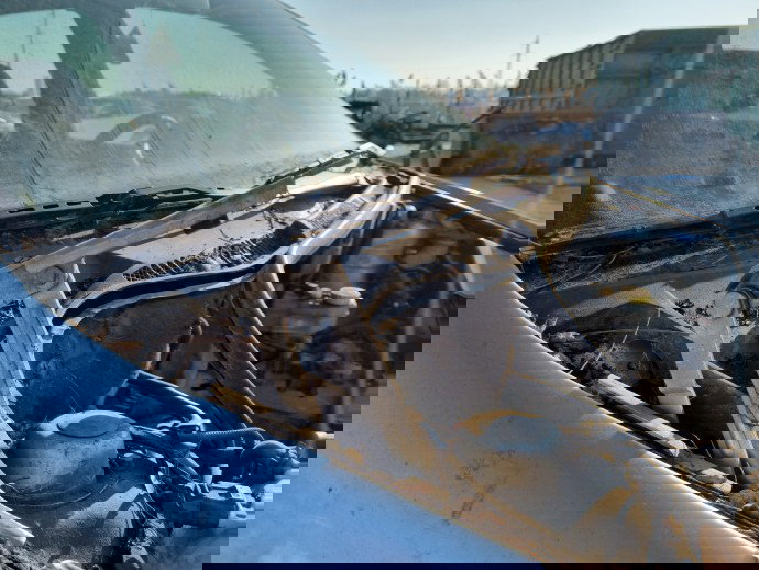 Set balamale capota Skoda Fabia 1 (6Y2) [Fabr 1999-2008] OEM