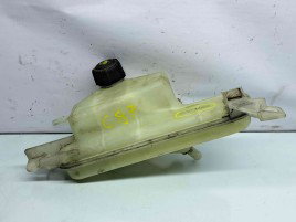 Vas expansiune Nissan Juke [Fabr 2010-2014] Hatchback 21710-1KB0A