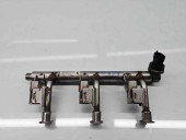 Rampa injectoare Ford B-Max [Fabr 2012-prezent] DM5G-9H487-AC 1.0 Benz M1DA 92KW / 125CP