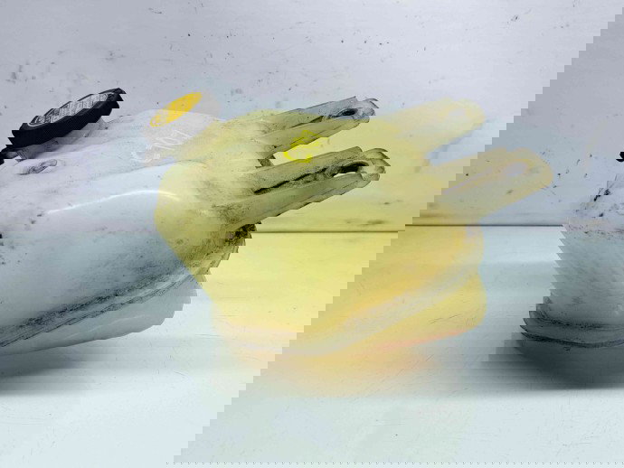 Vas expansiune Toyota Rav 4 II (CLA2, XA2, ZCA2, ACA2) [Fabr 2000-2006] OEM