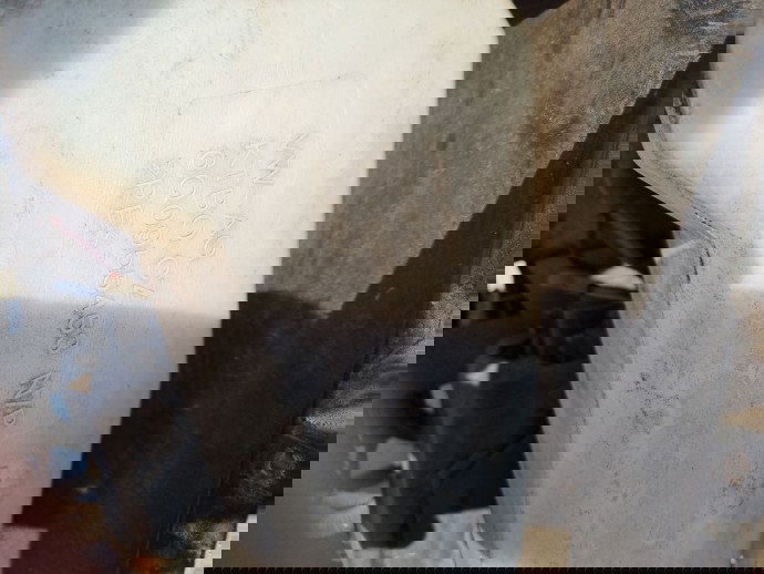  Vas lichid parbriz  Volkswagen Polo (9N) [Fabr 2001-2008] 6Q0955453