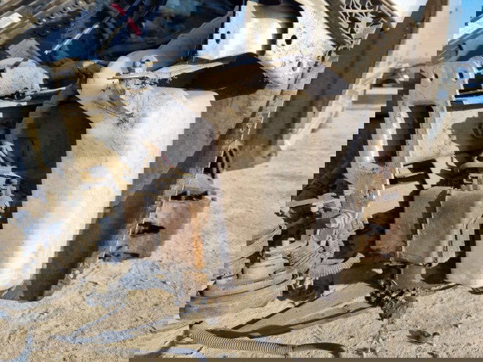  Vas lichid parbriz  Volkswagen Polo (9N) [Fabr 2001-2008] 6Q0955453