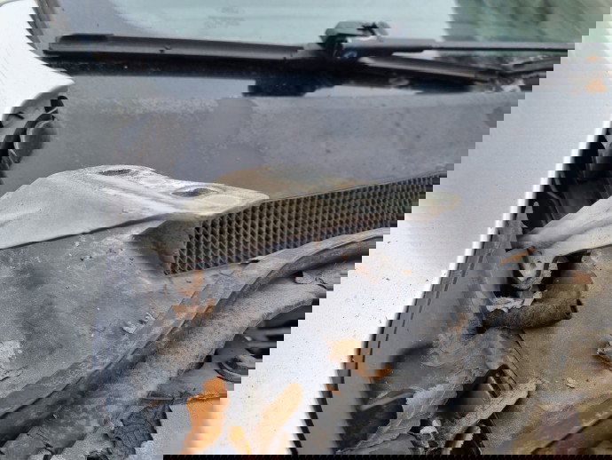 Set balamale capota Ford Focus 2 Combi (DA) [Fabr 2004-2012] OEM