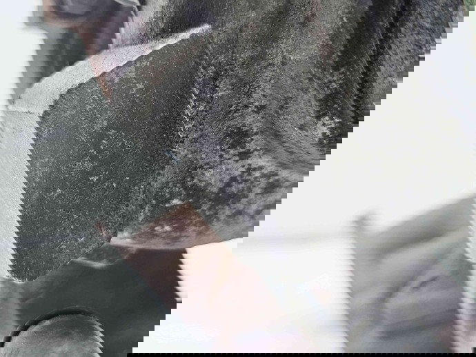 Turbina  Bmw 3 (E90) [Fabr 2005-2011] 7810189 2.0 N47D20 105KW / 143CP