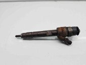 Injector  Bmw 3 (E90) [Fabr 2005-2011] 779844605 2.0 N47D20 105KW / 143CP