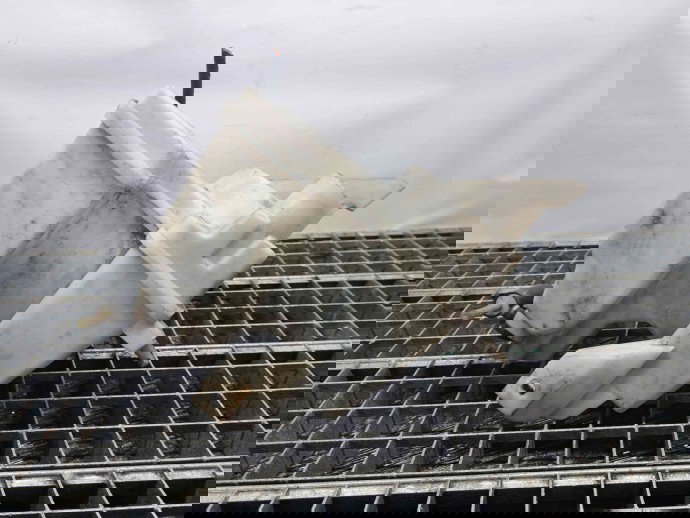  Vas lichid parbriz Nissan Juke [Fabr 2010-2014] Hatchback OEM