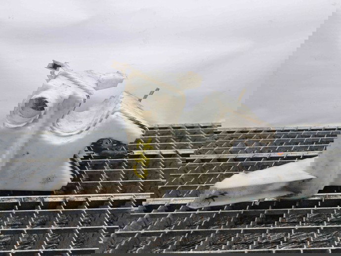  Vas lichid parbriz Nissan Juke [Fabr 2010-2014] Hatchback OEM