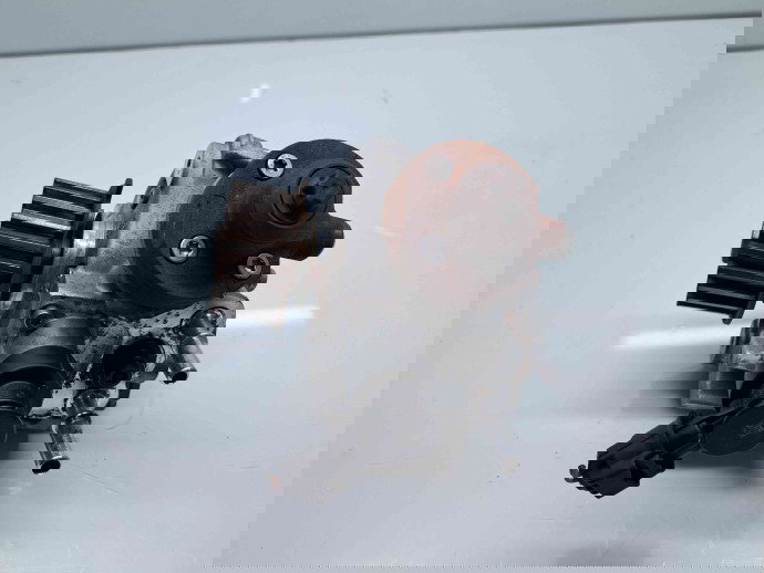 Pompa inalta presiune Peugeot Partner (II) [Fabr 2008-2018] 9688499680 / 0445010516 1.6 HDi DV6ETED 55KW / 75CP