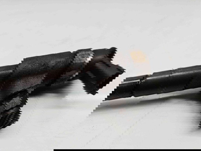 Injector Peugeot 307 [Fabr 2000-2008] 9641496180 1.4 HDI 8HZ 50KW / 68CP