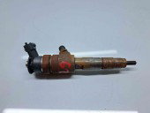 Injector  Citroen C4 (II) [Fabr 2009-2018] 0445110739 1.6 HDi DV6ETED 55KW / 75CP