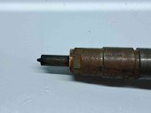 Injector  Citroen C4 (II) [Fabr 2009-2018] 0445110739 1.6 HDi DV6ETED 55KW / 75CP