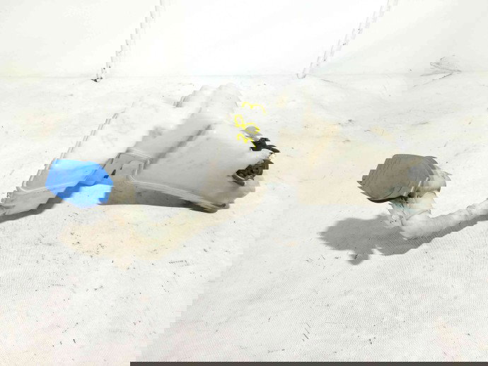 Vas lichid parbriz 1T0955453C Volkswagen Touran 2.0 BKD 2003-2010