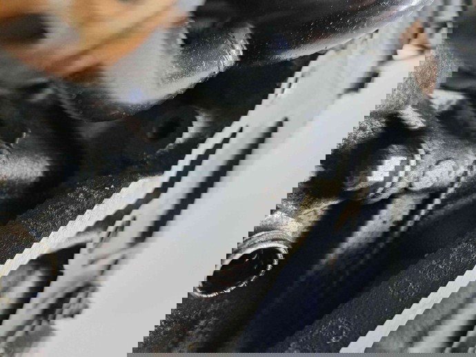 Motor complet ambielat MITSUBISHI Grandis [Fabr 2003-2013] BSY MN980000 2.0 BSY 103KW / 140CP