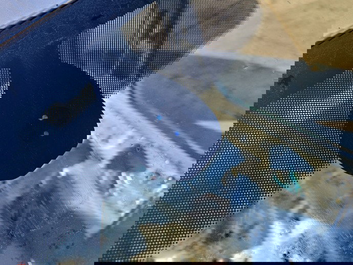  Senzor ploaie  Volkswagen Golf 7 (5G) [Fabr 2014-prezent] 5Q0955547B