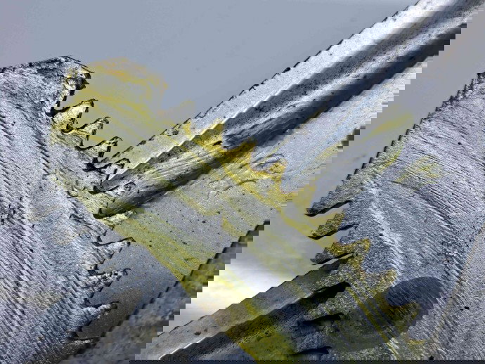 Macara electrica geam dreapta spate SUZUKI Vitara (LY) [Fabr 2015-prezent] 262100-5680