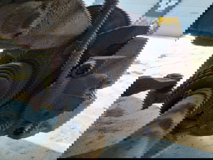 Fuzeta fata stanga Volkswagen Transporter 5 (7HB, 7HJ) [Fabr 2004-2013] 2.0 TDI CAAA 62KW / 85CP