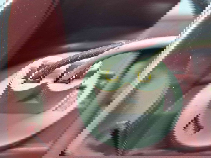  Stop aripa dreapta Toyota Rav 4 II (CLA2, XA2, ZCA2, ACA2) [Fabr 2000-2006] OEM