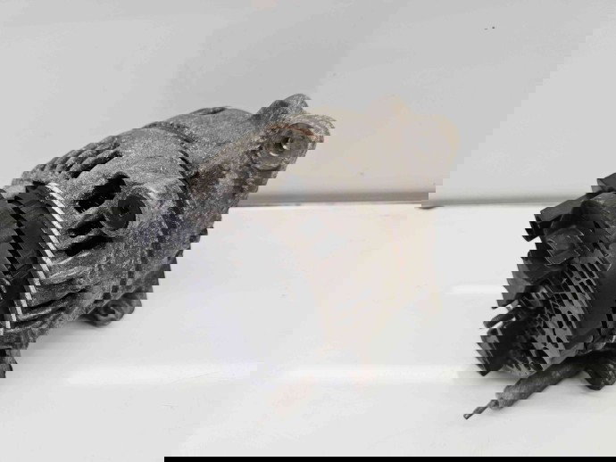 Alternator  Seat Ibiza 5 (6J5) [Fabr 2008-2017] 03F903023D 1.2 TSI CBZB 77KW / 105CP