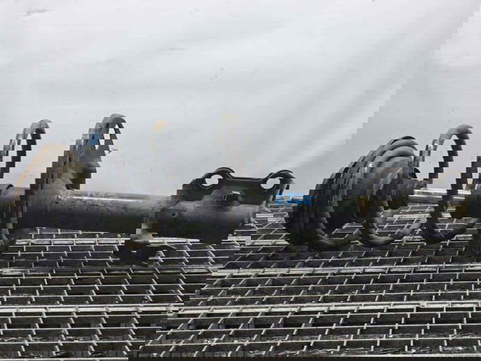 Amortizor dreapta fata Toyota Rav 4 III (ACA3, ACE, ALA3, GSA3, ZSA3) [Fabr 2005-2013] OEM 2.2 2.2 80KW / 109CP