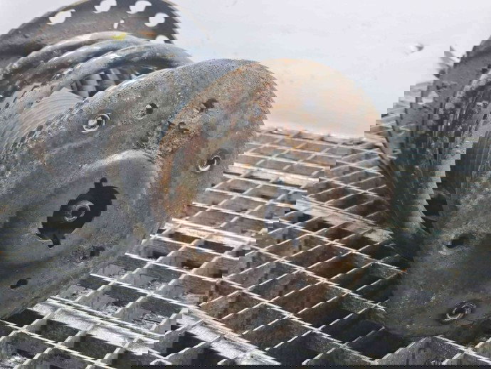 Amortizor dreapta fata Ford S-Max 1 [Fabr 2006-2010] 6G91-18045-ABK 1.8 TDCI C18DC  