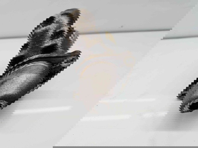  Electromotor 10 dinti Fiat 500L Trekking [Fabr 2012-prezent] 51810307A 1.3 199B400062KW / 85CP