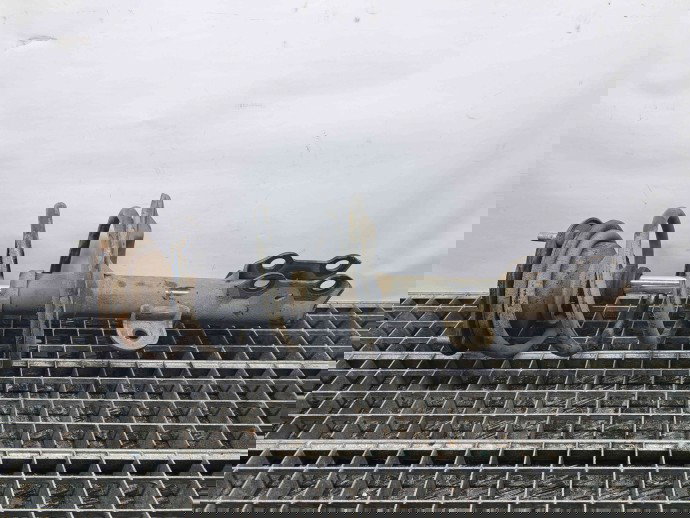 Amortizor stanga fata Toyota Rav 4 III (ACA3, ACE, ALA3, GSA3, ZSA3) [Fabr 2005-2013] OEM 2.2 2.2 80KW / 109CP