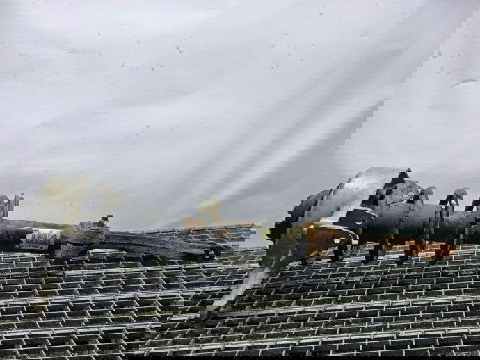 Amortizor stanga fata Audi Q5 (8RB) [Fabr 2008-2016] 8R0031F 2.0 TDI CAHA 2.0 TDI CAHA 125KW / 170CP