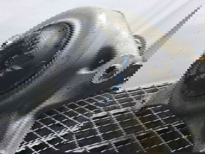 Amortizor stanga fata Audi Q5 (8RB) [Fabr 2008-2016] 8R0031F 2.0 TDI CAHA 2.0 TDI CAHA 125KW / 170CP